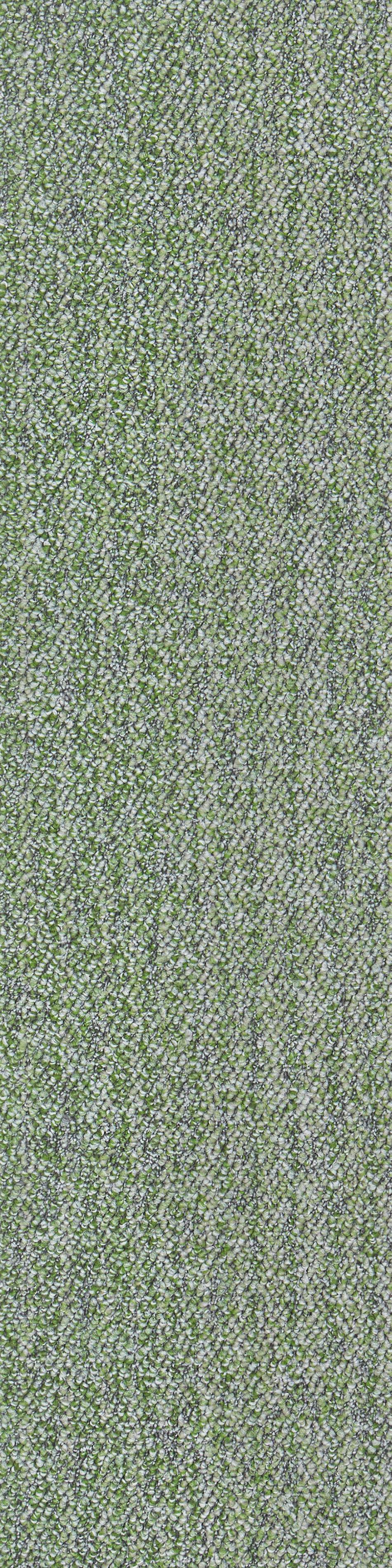 2146 - 63 绿色