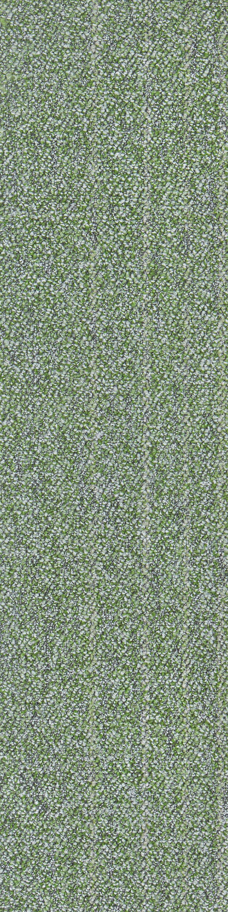 2146 - 64 绿色