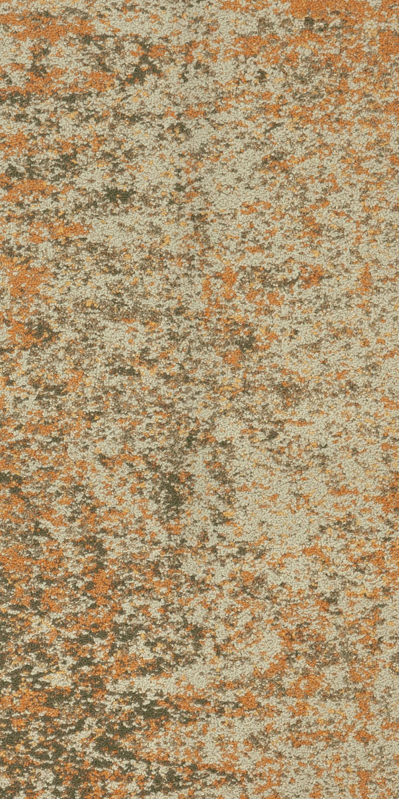 烟波 5181