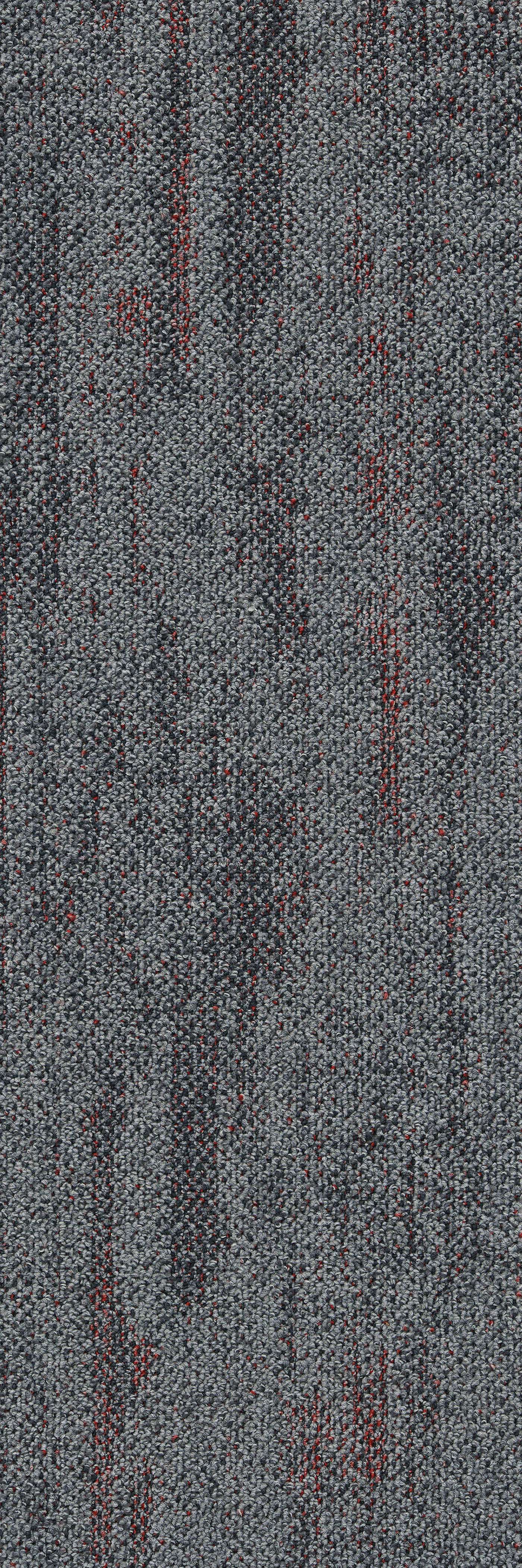 3152 - 31 深灰