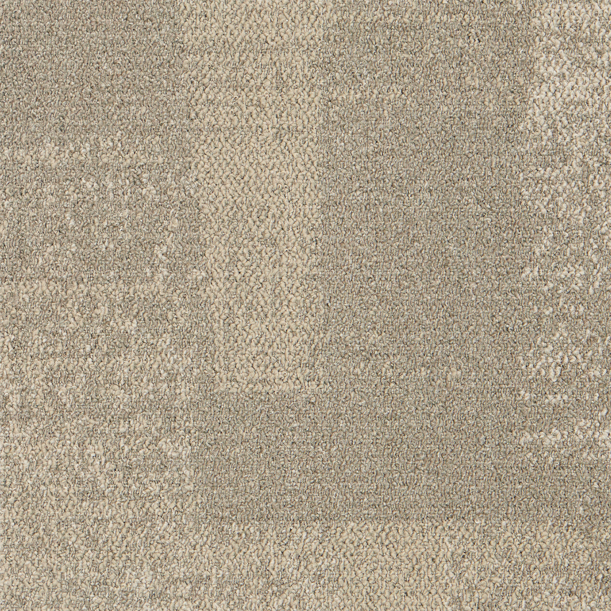 5585 - 07 棕色