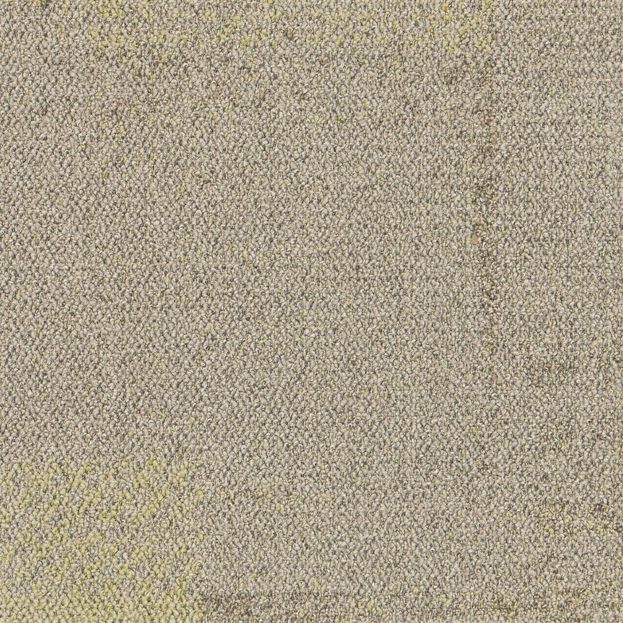 墨岩 5585