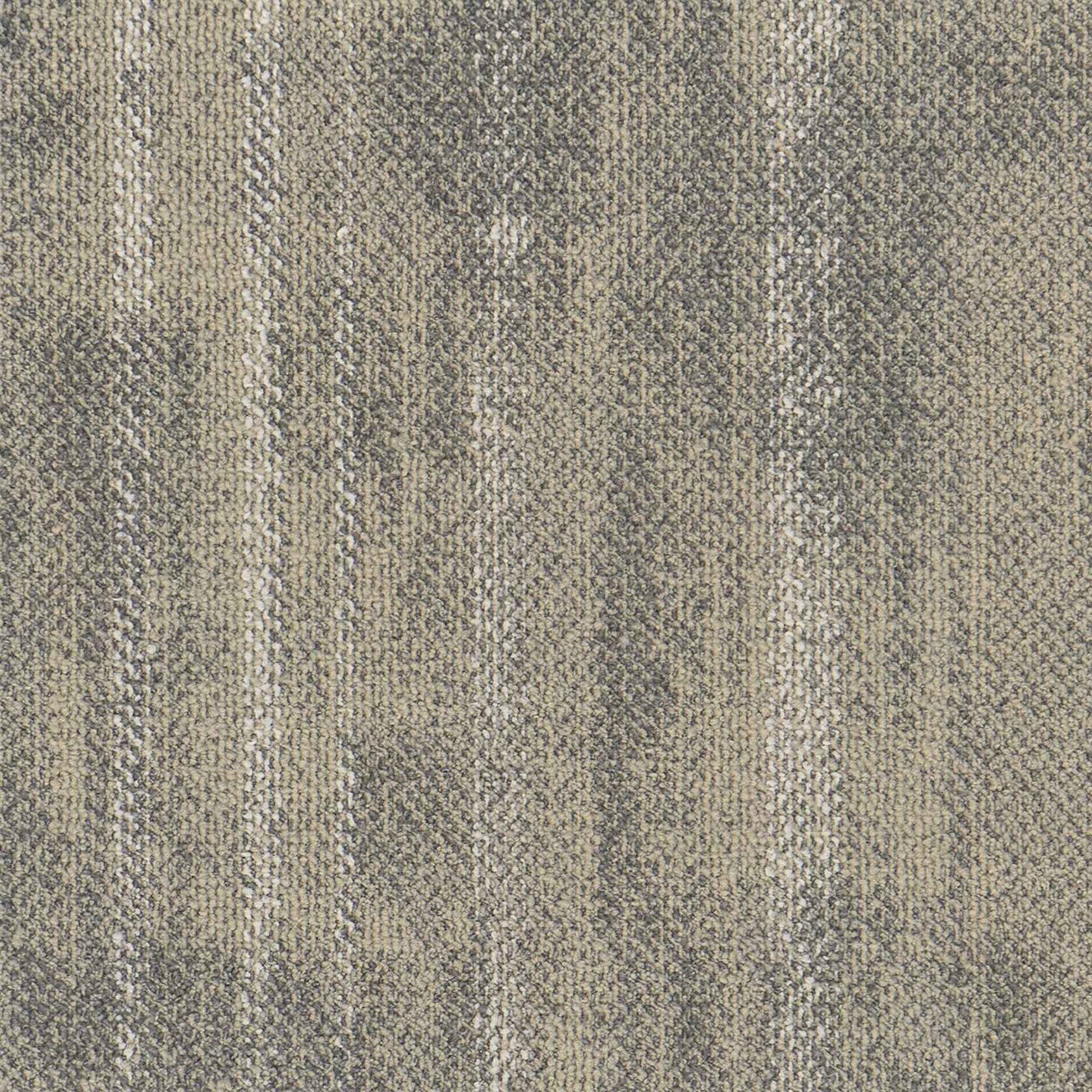 石间 5551