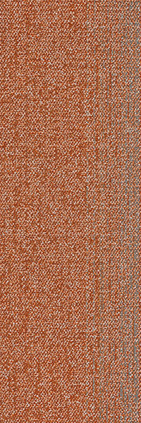 31X1 - B21/2 橘色