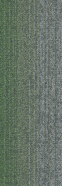 31X1 - B31/1 绿色
