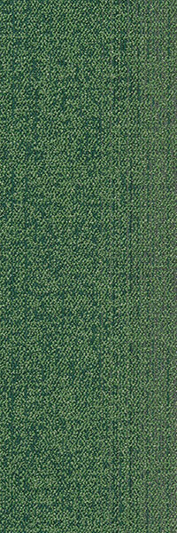 31X1 - B31/2 绿色