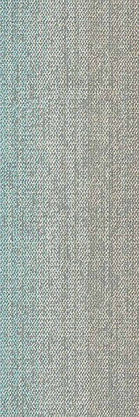 31X1 - B51/1 青色