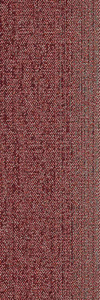 31X1 - B61/2 红色