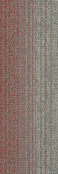 31X1 - B61/1 红色