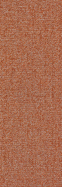 31X1 - C21 橘色