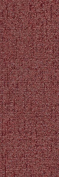 31X1 - C61 红色