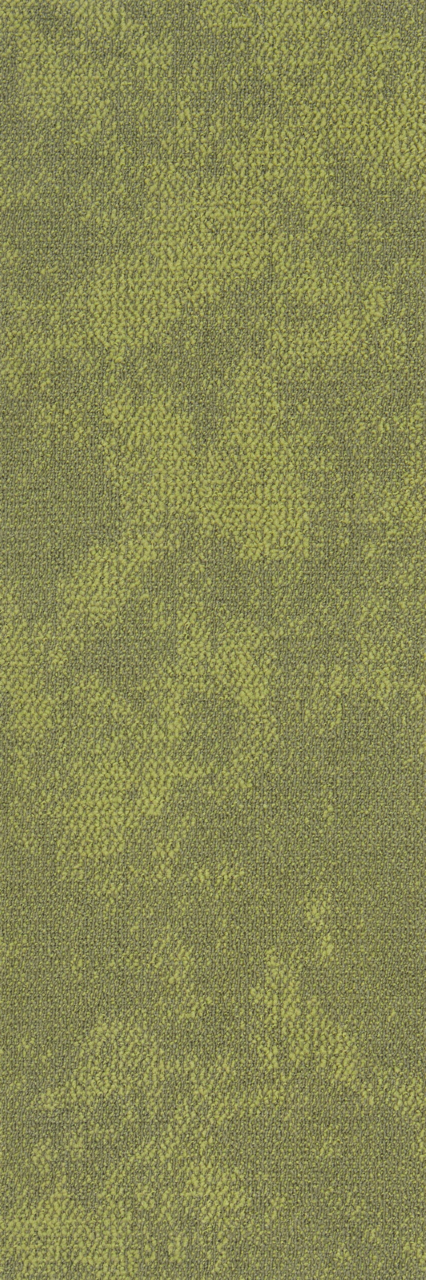 植觉 3148