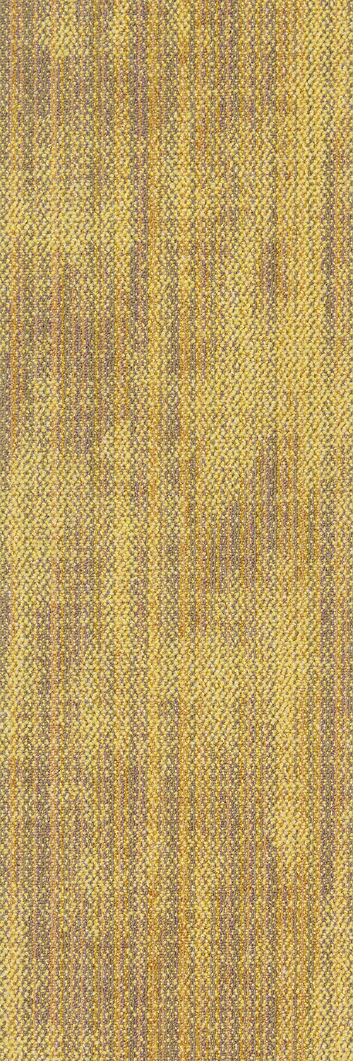 3147 - 11 黄色