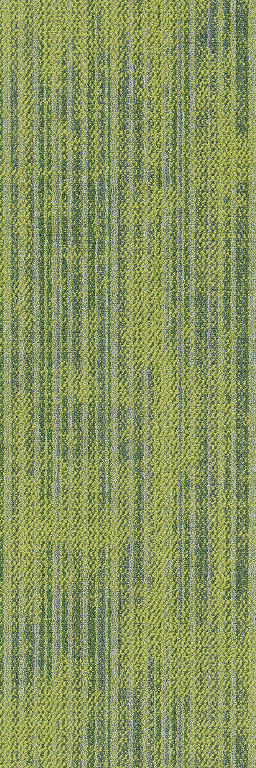 3147 - 12 绿色